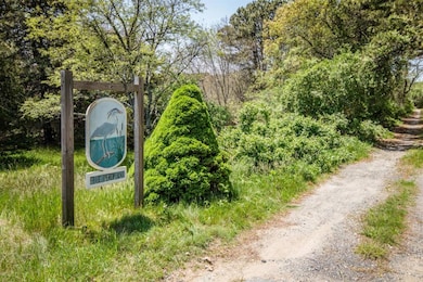 8 Blue Heron Way, Edgartown, MA 02539 - photo 2