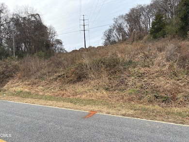 000 River Bend Rd, Milton, NC 27305 - photo 3