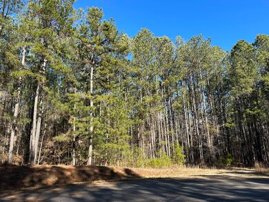 LOT 37 Petersburg Trace, Lincolnton, GA 30817 - photo 2