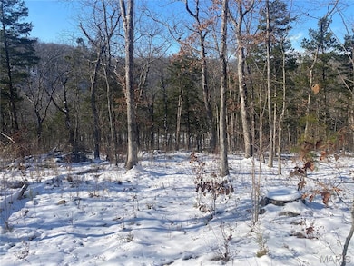 29507 Pinnacle Lake Rd, New Florence, MO 63363 - photo 2