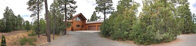 002_Driveway Pan