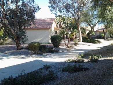 Back View/Common Area