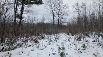 V/L 118A E Townline Rd, Free Soil, MI 49411 - photo 4