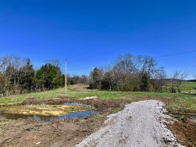 2615 Bluebird Rd, Lebanon, TN 37087 - photo 3