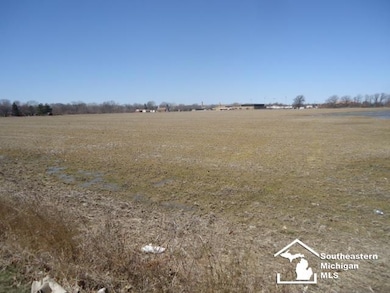 0 N Stoney Creek Rd unit 50188927, Newport, MI 48166 - photo 5