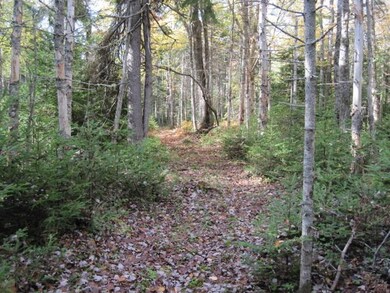 ROW Walking Path