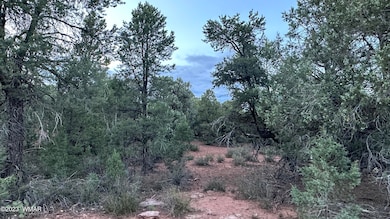 Cheney Ranch Loop trees