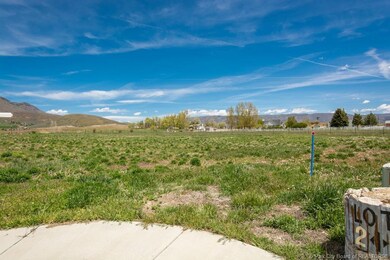 625 Sunflower Ln, Midway, UT 84049 - photo 4