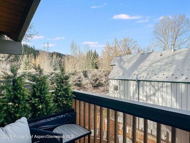 720 W Hopkins Ave unit D, Aspen, CO 81611 - photo 6
