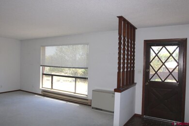 575 NE 4th St, Cedaredge, CO 81413 - photo 3