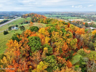 7-web-or-mls-4217-hwy-411