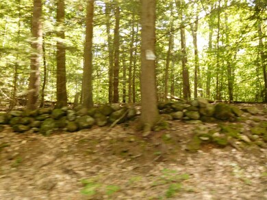 711 Webster Mills Rd, Pittsfield, NH 03263 - photo 4