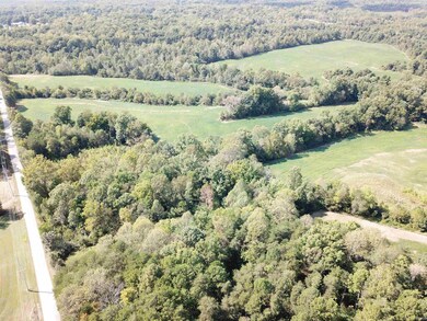 3965 S Co Road 350 E, Winslow, IN 47598 - photo 6