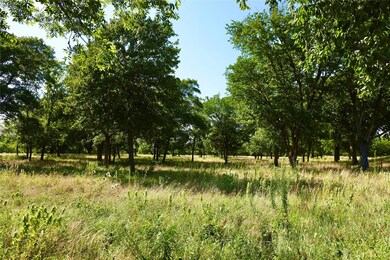 73.9+/- Acres Sessums Rd, Springtown, TX 76082 - photo 4