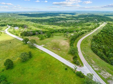 110 Stagecoach RD Kirbyville (2)