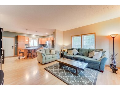 Large open concept living room opens into kitchen