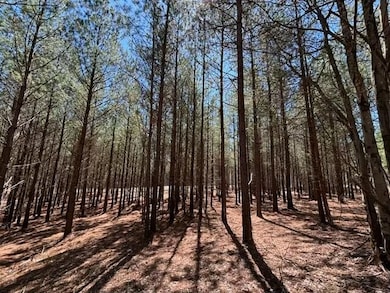 0 Worley Rd unit RTC2810073, Soddy-Daisy, TN 37379 - photo 2