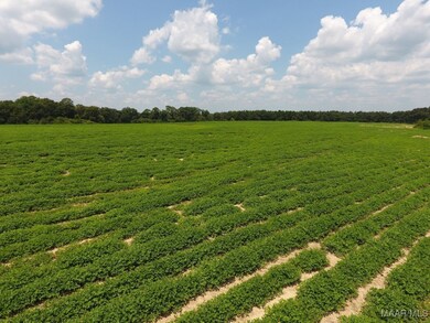 0 Chamblee Rd unit 552298, Kinston, AL 36453 - photo 2