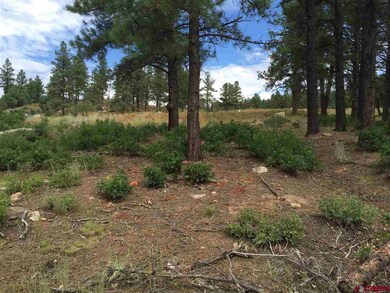 0 Twin Buttes Ave unit 723535, Durango, CO 81301 - photo 7