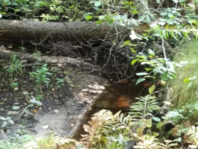 Rabbits Back Creek