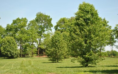 0 Misty Ln unit Parcels H,I,J, Versailles, KY 40383 - photo 6