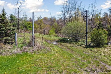 8249 Parcel A M-139, Berrien Springs, MI 49103 - photo 2