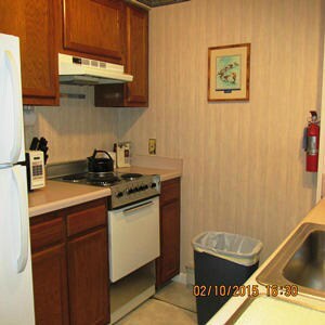 NEW kitchen 1