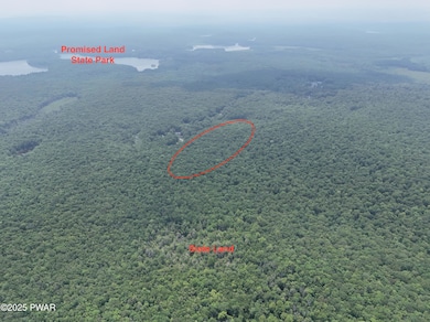 DJI_20250611134454_0041_D