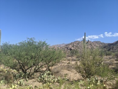 High desert landscape