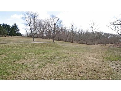 Yard/Garden. Nearly level 1/2 acre lot.