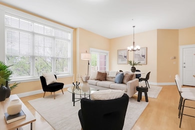 61 Bolton St unit 304, Cambridge, MA 02140 - photo 3