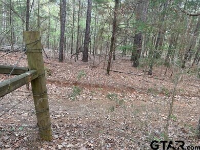 000 County Road 263, Tyler, TX 75707 - photo 2