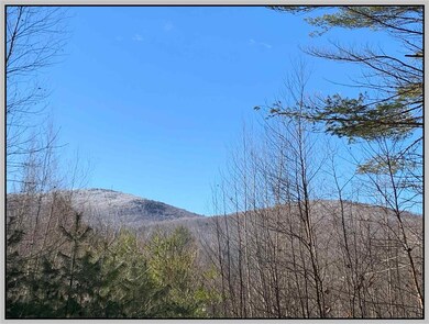 Lot #1 Texas Hill Rd, Plymouth, NH 03264 - photo 4