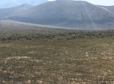 TBD Chute Canyon Rd, Lima, MT 59739 - photo 3