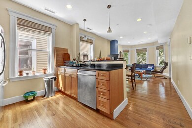 292 Western Ave unit 1, Cambridge, MA 02139 - photo 5