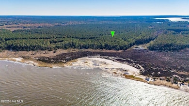 151 Garbacon Dr, Beaufort, NC 28516 - photo 7