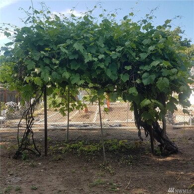 344 N Joseph Ave, East Wenatchee, WA 98802 - photo 7