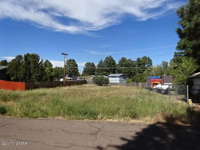 1020 E Stratton, Show Low, AZ 85901 - photo 3