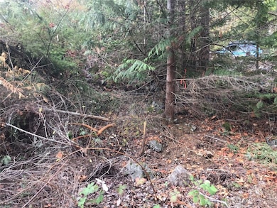 11939 New Morning Dr, Anacortes, WA 98221 - photo 5