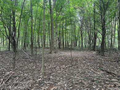 4251 E Frances Rd, Mount Morris, MI 48458 - photo 6