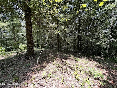 1255 Winningham Rd, Byrdstown, TN 38549 - photo 7