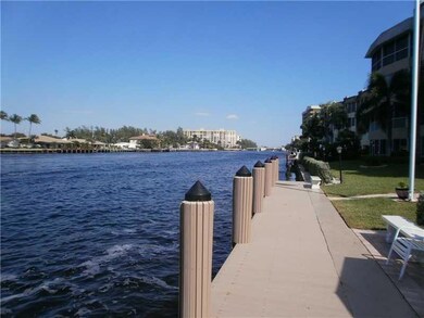 Looking north off the new dock
