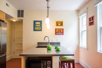 16 Chilton St unit 2, Cambridge, MA 02138 - photo 6