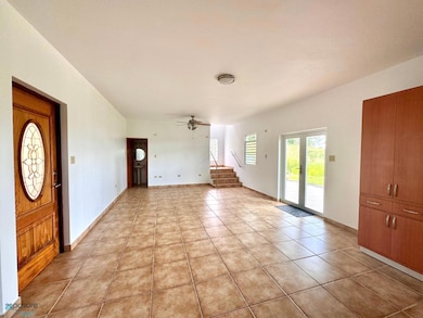 Km 1.1 Carr 802, Corozal, PR 00783 - photo 6