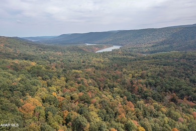 00 Pine Ridge Rd, James Creek, PA 16657 - photo 6