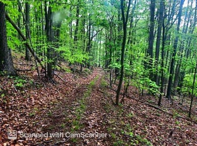 trail