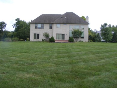 Large Backyard