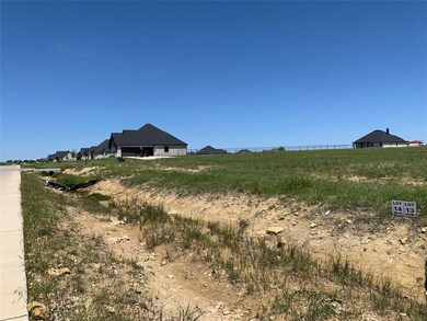 308 El Pescado Ct, Godley, TX 76044 - photo 5