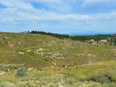 0 Buckskin Rd, Roundup, MT 59072 - photo 5