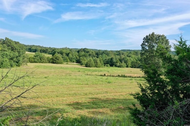 0001 Ridge Rd unit 115 Ridge Drive, Heber Springs, AR 72543 - photo 7